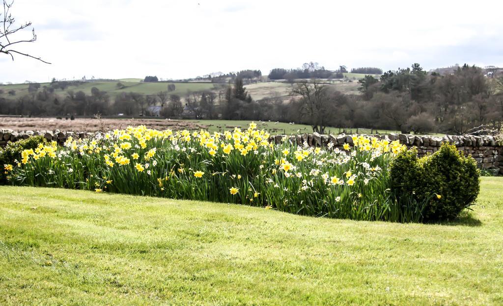 West Woodburn Yellow House المظهر الخارجي الصورة